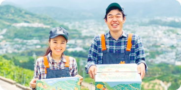 国内産バレンシアオレンジ/慣行栽培 (S~LL)3kg (18個〜21個)【送料別】