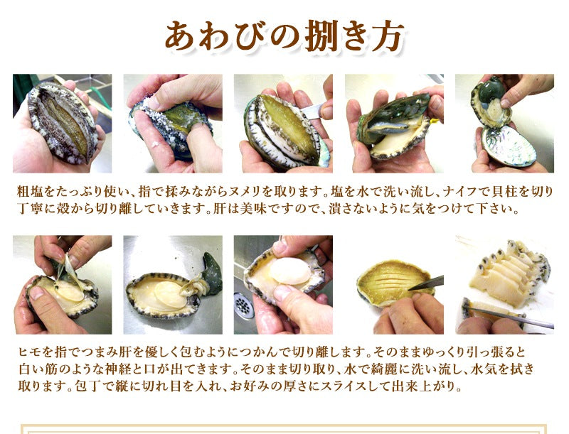 活アワビ(韓国産)40-50g 10個【送料別】