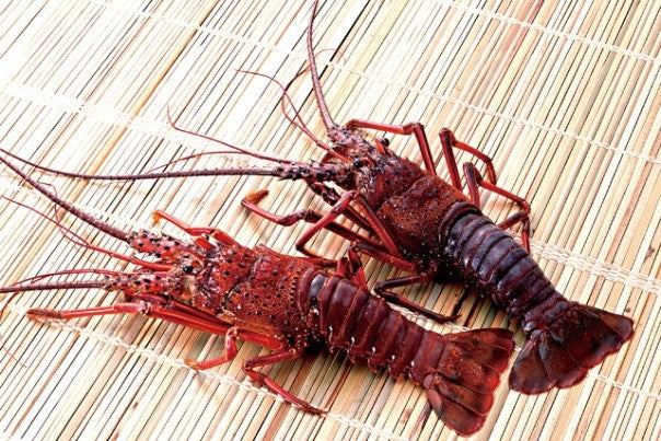 食を通してすべての人を笑顔に