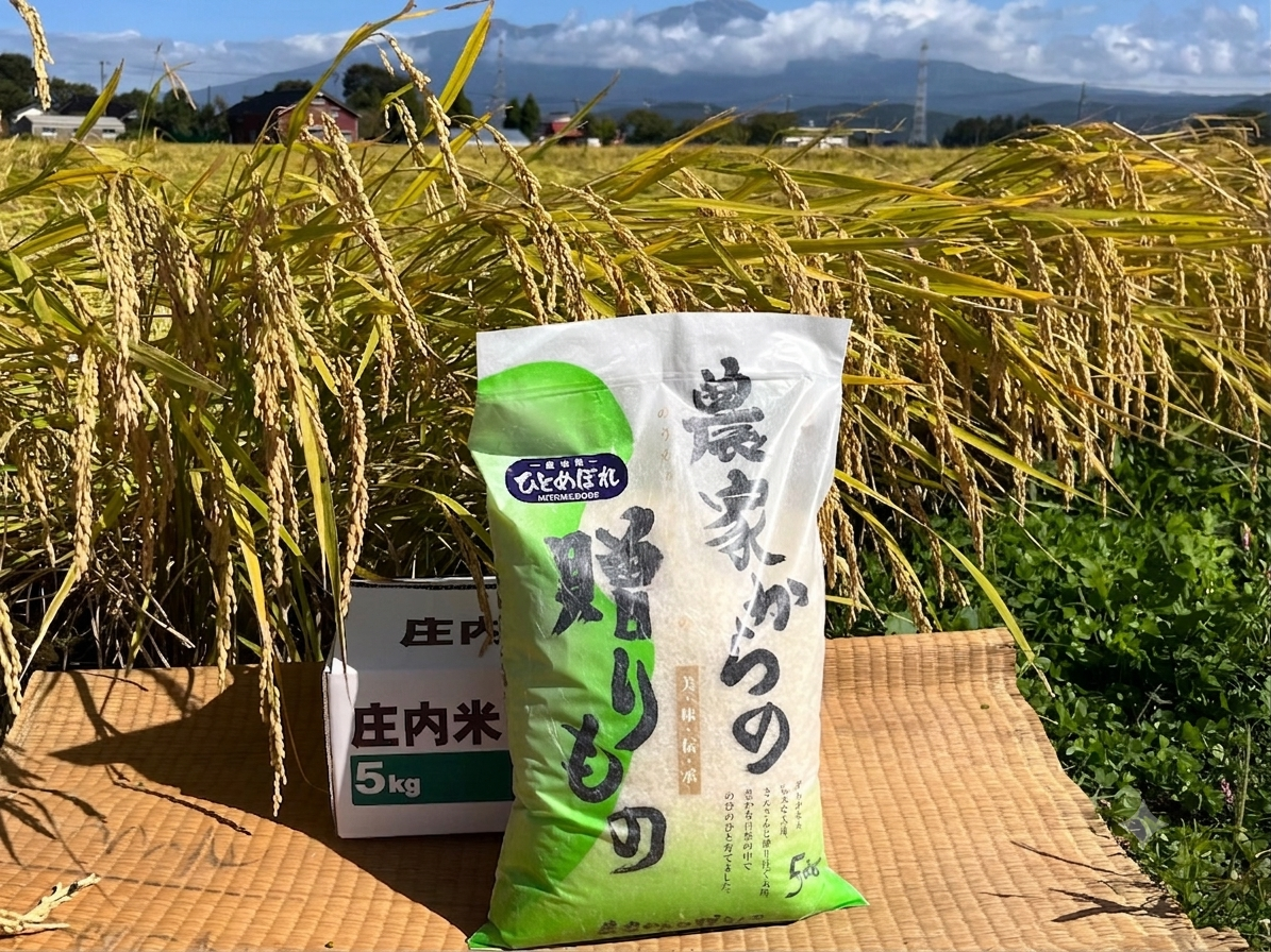 ブランド米「ひとめぼれ」５kg【送料別】