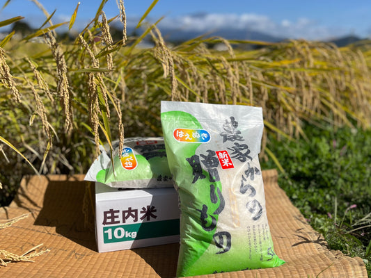 ブランド米「はえぬき」新米10kg