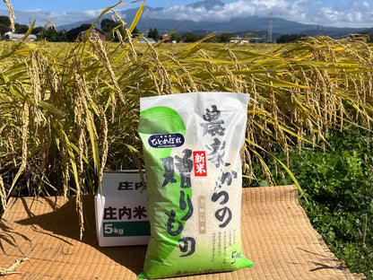 ブランド米「ひとめぼれ」新米５kg