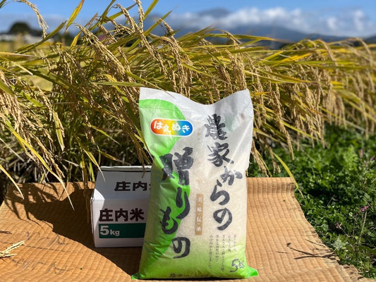 ブランド米「はえぬき」5kg【送料別】
