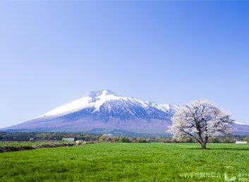 「味工芸」ハム詰め合わせギフト【送料別】【冷蔵】