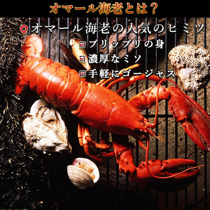 国産伊勢海老テルミドール【送料別】【冷凍】