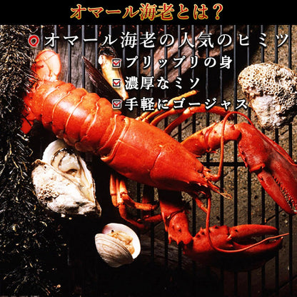 活オマール海老500g〜550gサイズ2尾セット【送料別】