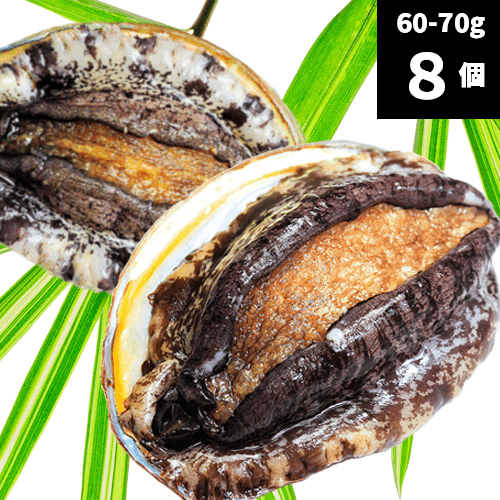 活アワビ（韓国産）60-70g 8個【送料別】