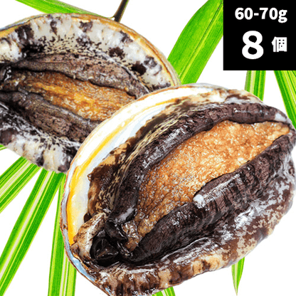 活アワビ（韓国産）60-70g 8個【送料別】