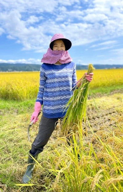 ブランド米「こしひかり」新米５kg