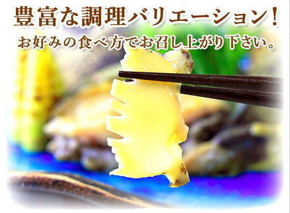 活アワビ（韓国産）80-90g ５個【送料別】