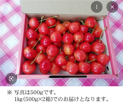 山形産さくらんぼ（佐藤にしき）1kg【送料別】【冷蔵】【限定20セット】