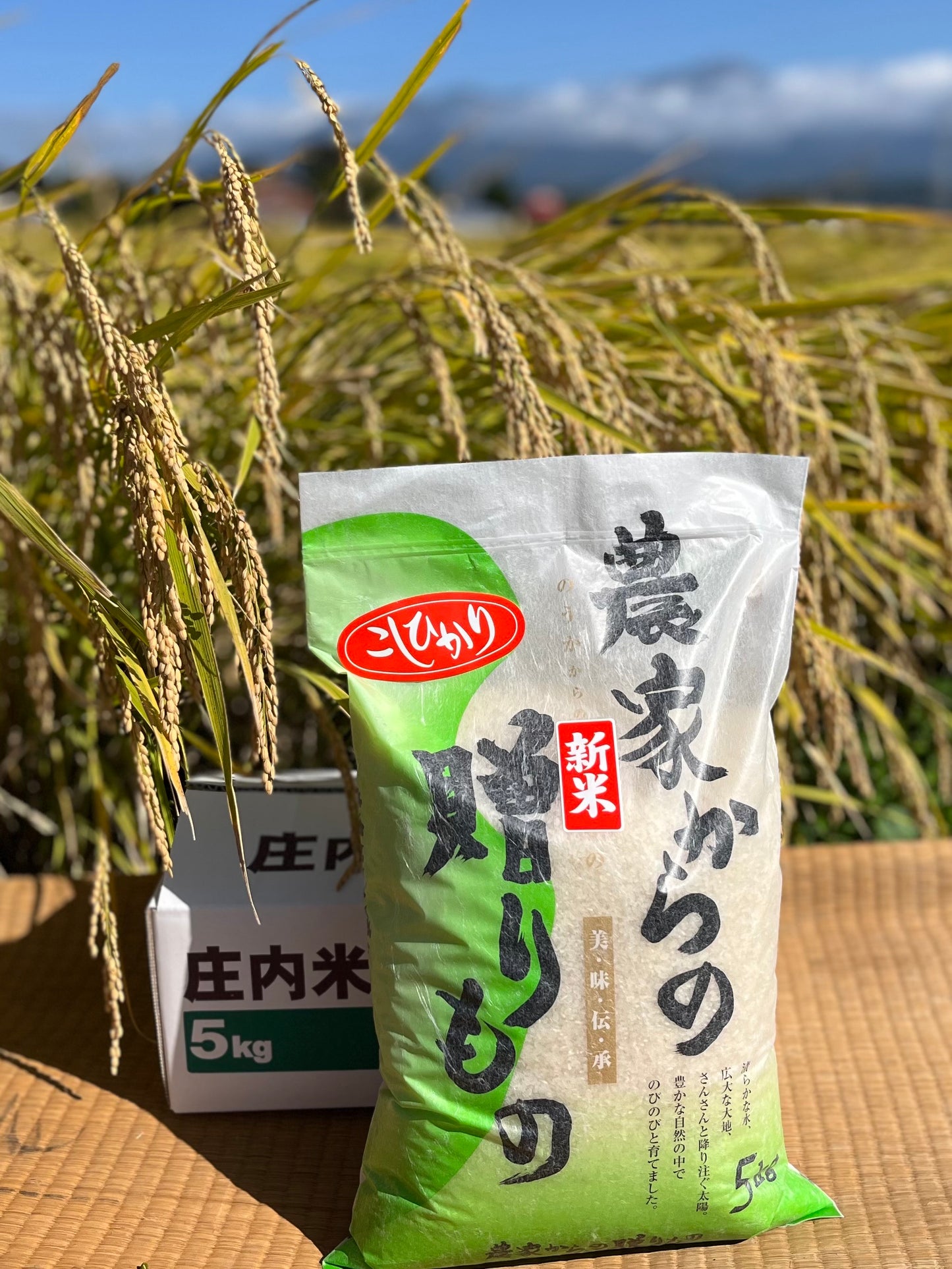 ブランド米「こしひかり」新米５kg