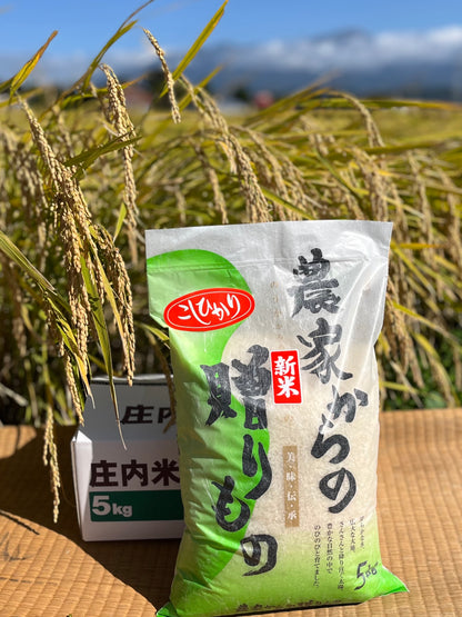 ブランド米「こしひかり」新米５kg