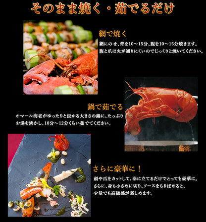 国産伊勢海老テルミドール【送料別】【冷凍】