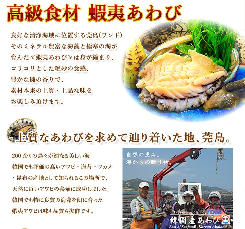 活アワビ（韓国産）110-120g 5個【送料別】