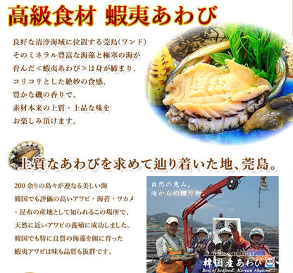 活アワビ（韓国産）110-120g 5個【送料別】