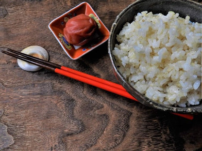 特別栽培米 新潟県産 「キラキラコシヒカリ」新米 10kg