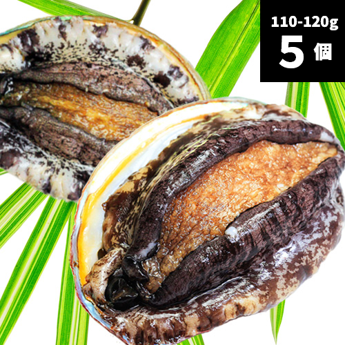 活アワビ（韓国産）110-120g 5個【送料別】