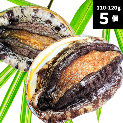 活アワビ（韓国産）110-120g 5個【送料別】