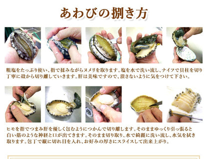 活アワビ（韓国産）80-90g ５個【送料別】