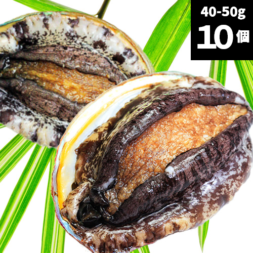 活アワビ（韓国産）40-50g 10個【送料別】