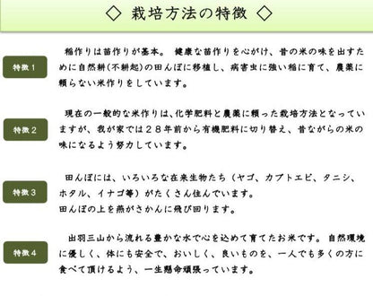 ブランド米「こしひかり」新米５kg
