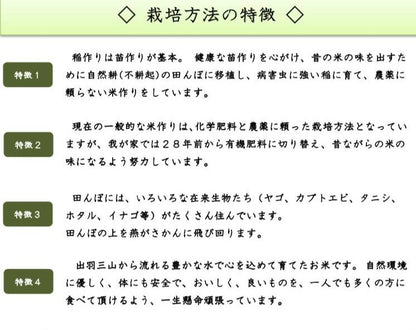 ブランド米「ひとめぼれ」新米10kg
