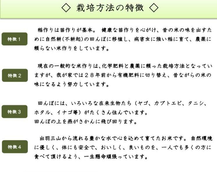 ブランド米「はえぬき」新米5kg