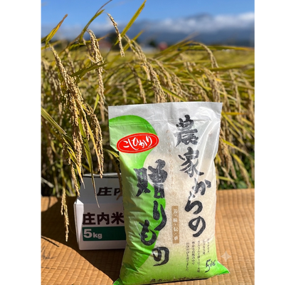 ブランド米「こしひかり」５kg【送料別】