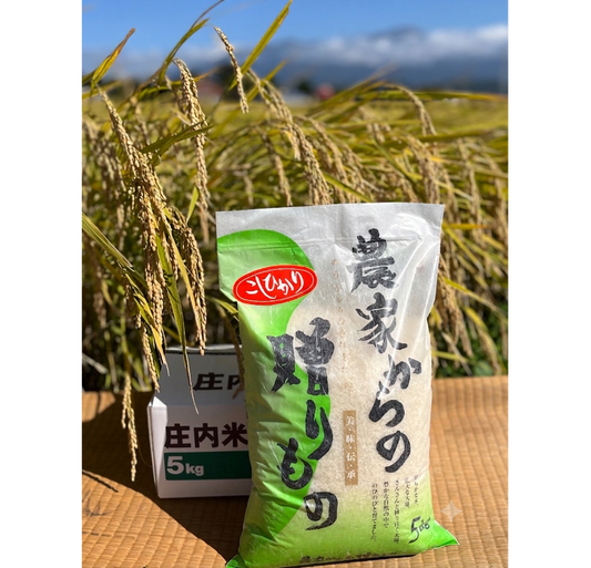 ブランド米「こしひかり」５kg【送料別】