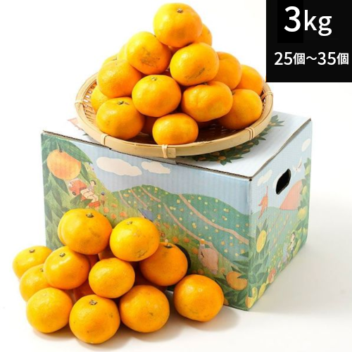 大小ミックス有田みかん（S~LL)3kg（25個〜35個）