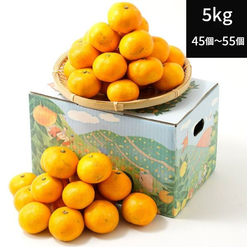大小ミックス有田みかん（S~LL)5キロ　（45個〜55個）