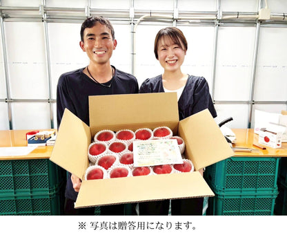 もも5kg　ご家庭用（サイズ不揃い品）【送料別】