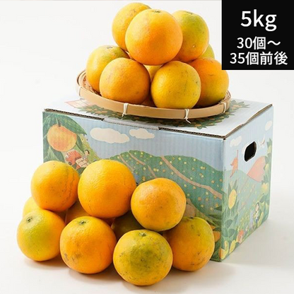国内産バレンシアオレンジ/慣行栽培　（S~LL)5kg (30個〜35個)【送料別】