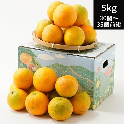 国内産バレンシアオレンジ/慣行栽培　（S~LL)5kg (30個〜35個)【送料別】