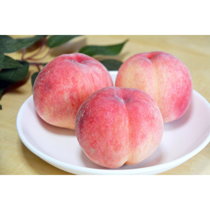 もも5kg　ご家庭用（サイズ不揃い品）【送料別】